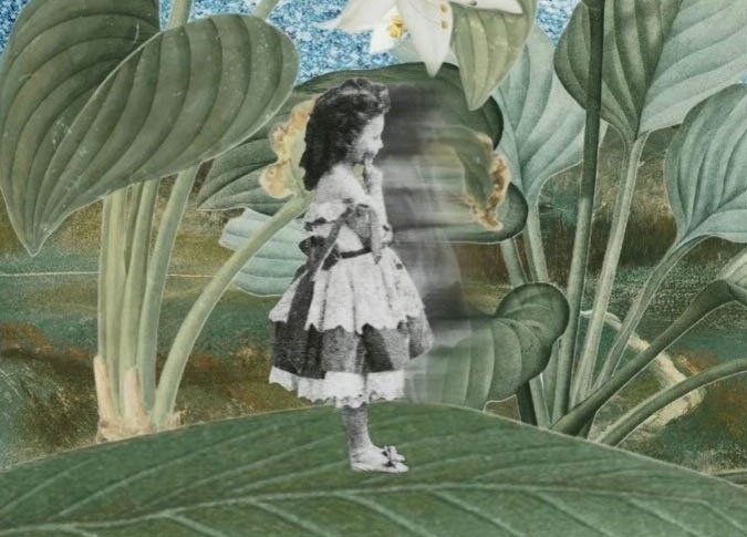Ксения Волкова, Серия работ в рамках проекта Digital Collage