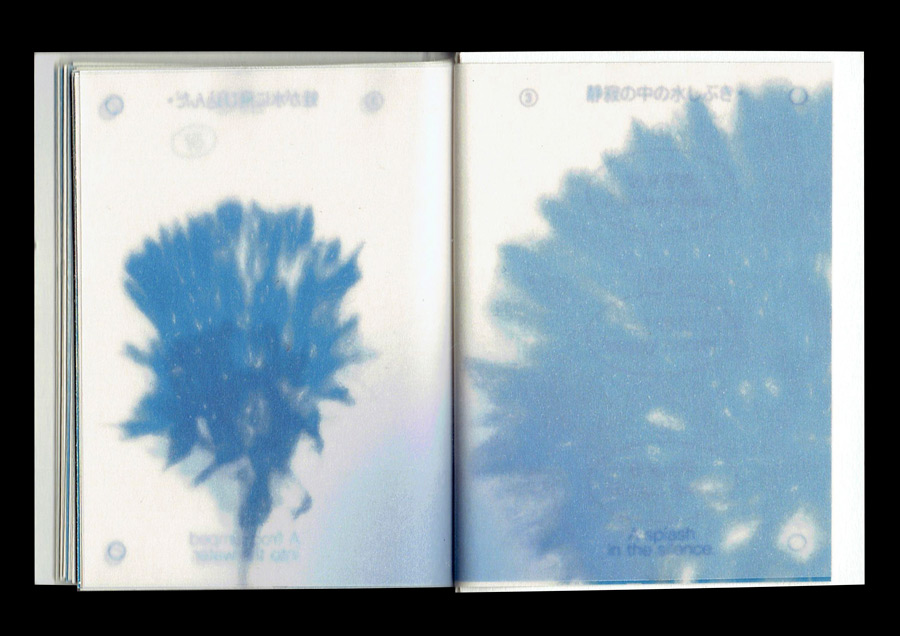 Василиса Лесникова, The little book of... pacification, 2024