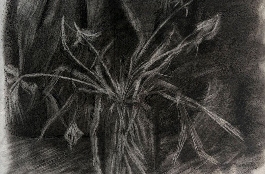 Алина Филатова, Subtractive Tone